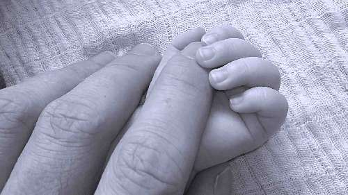 Eine Babyhand umfasst einen Finger eines Erwachsenen